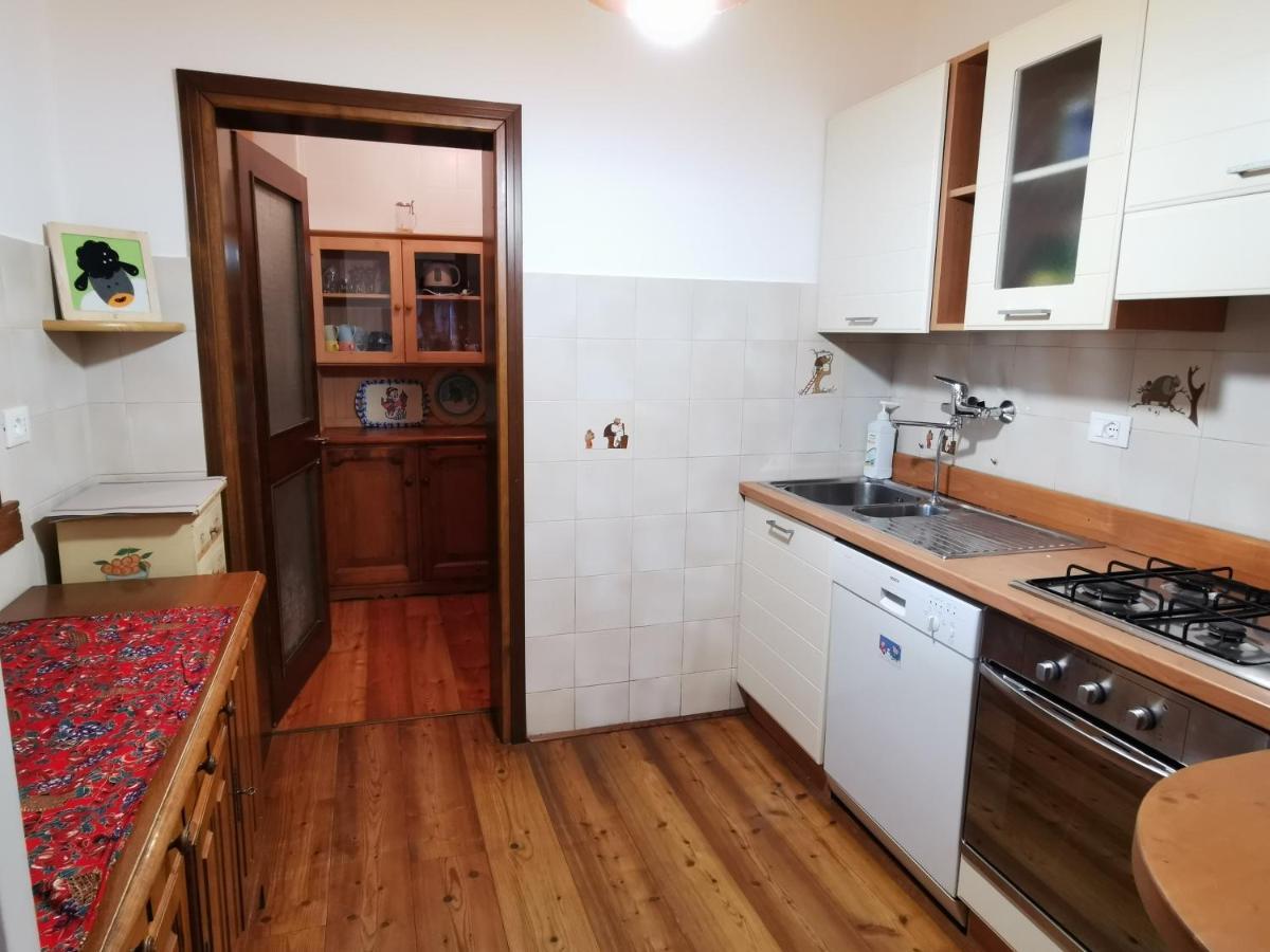 Casa Phoenix Appartamento Piano Terra Immerso Nel Verde A Pochi Minuti Dalla Ciclabile Pieve di Cadore Exterior foto