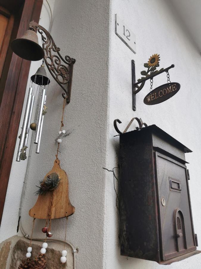 Casa Phoenix Appartamento Piano Terra Immerso Nel Verde A Pochi Minuti Dalla Ciclabile Pieve di Cadore Exterior foto